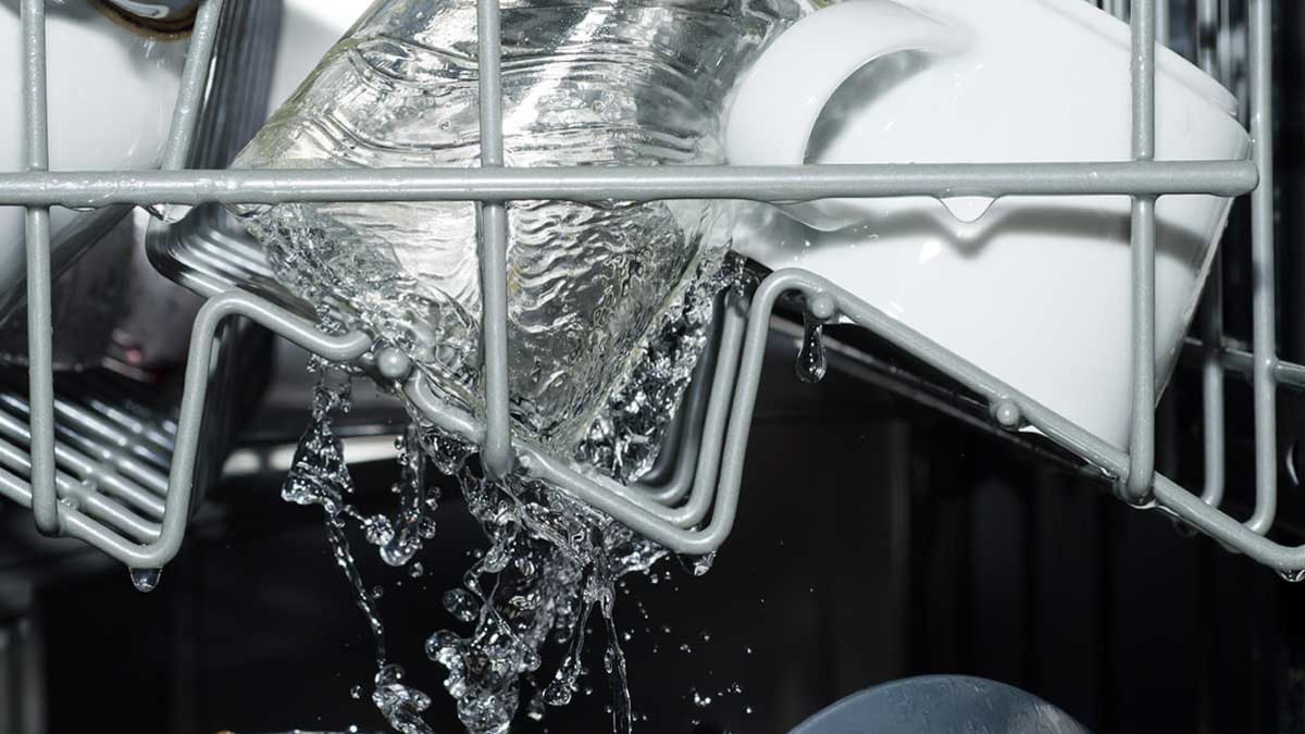 How to Make Your Dishwasher Last Longer Consumer Reports